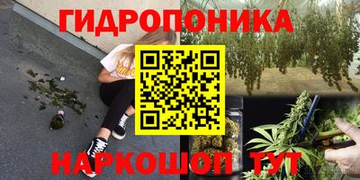 каннабис Будённовск