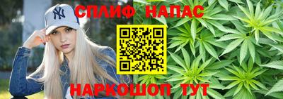каннабис Будённовск