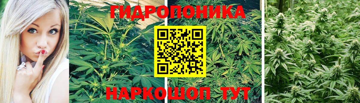 Бошки Шишки Bruce Banner Людиново